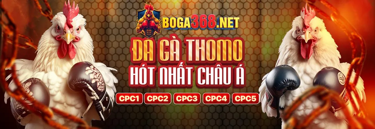 Đá Gà Hubet Win - Sân Đấu Kịch Tính